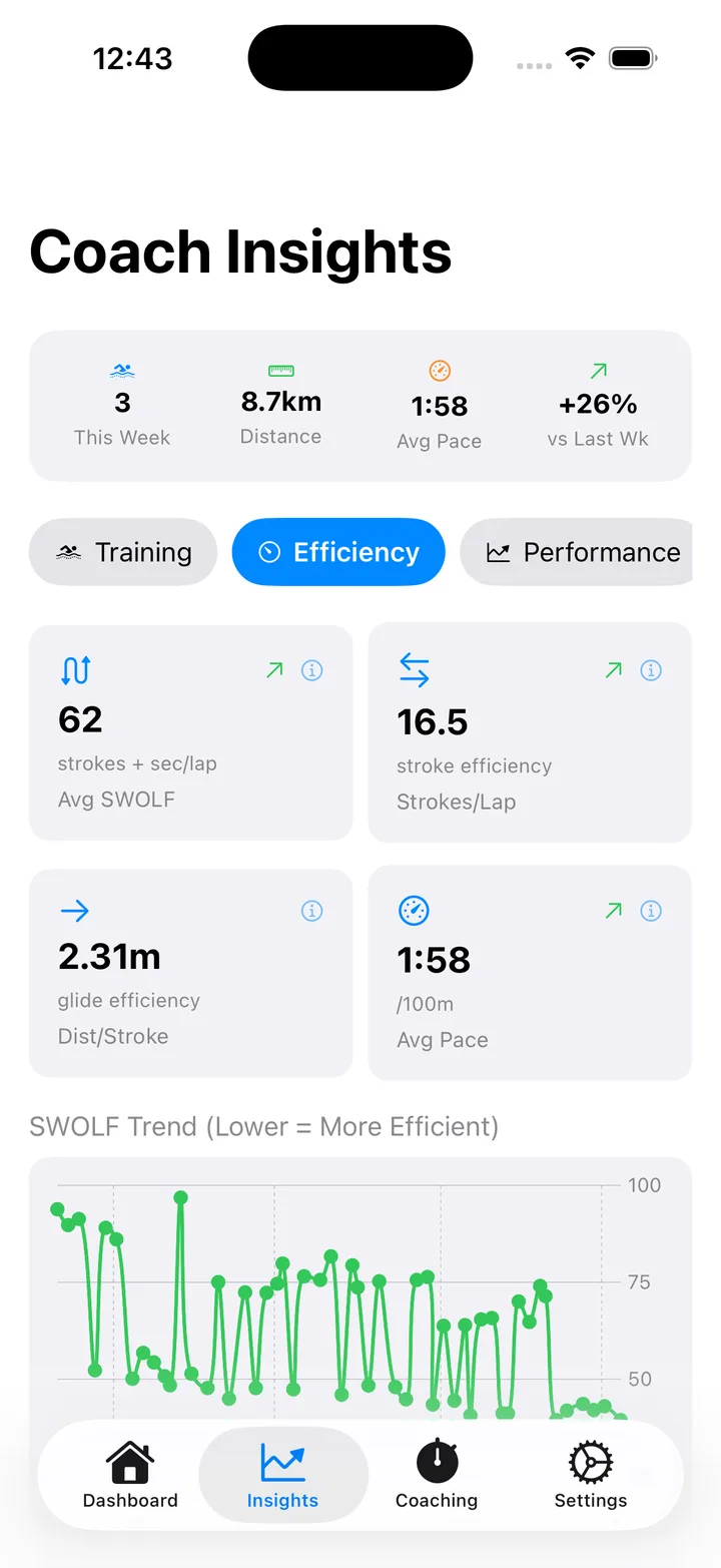 Efficiency view in Lapwizard Insights